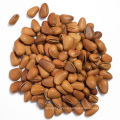 High Quality OEM Package Raw Wholesale Healthy Pine Nuts